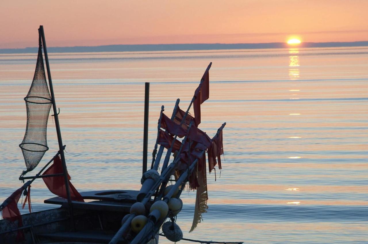 Fewo Seeblick - Familien - Hunde - Strandnah - Ostseeblick - Sauna & Wellness 希尔克道夫 外观 照片