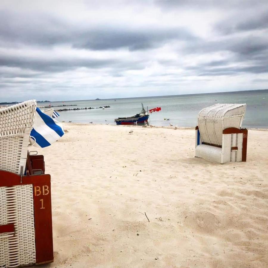Fewo Seeblick - Familien - Hunde - Strandnah - Ostseeblick - Sauna & Wellness 希尔克道夫 外观 照片