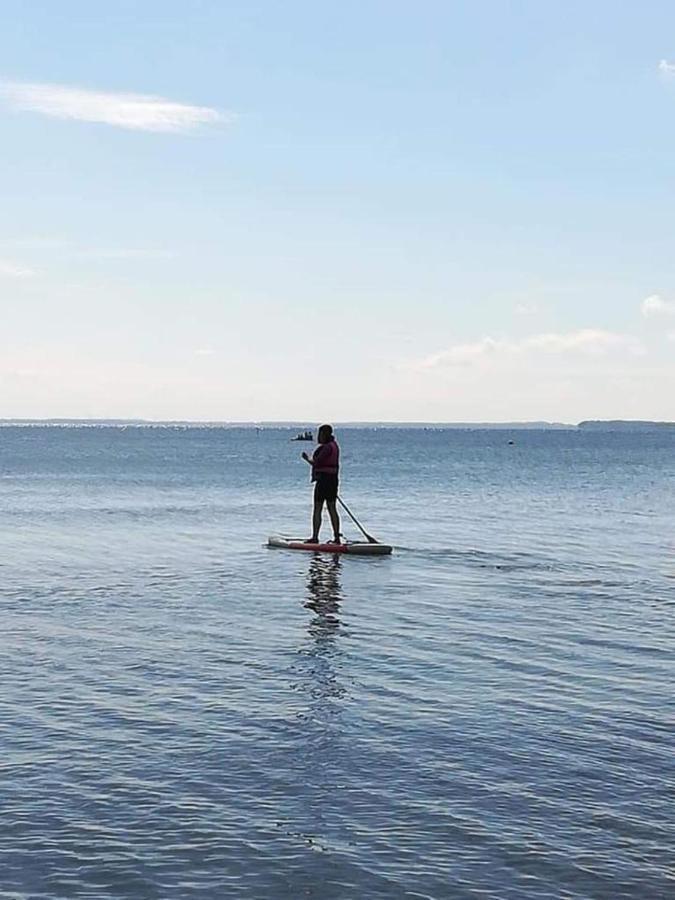 Fewo Seeblick - Familien - Hunde - Strandnah - Ostseeblick - Sauna & Wellness 希尔克道夫 外观 照片